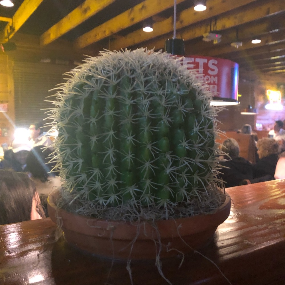 Meet your Posher, Kristie